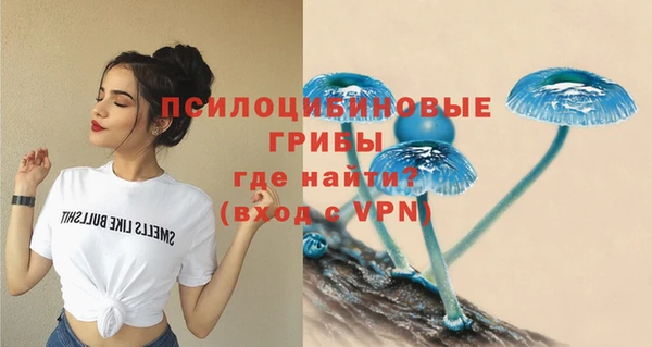 spice Новозыбков