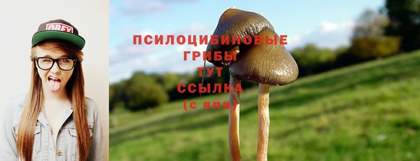 гидропоника Новодвинск