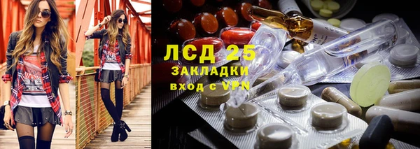 spice Новозыбков