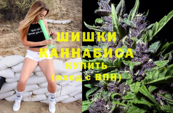 гидропоника Новодвинск